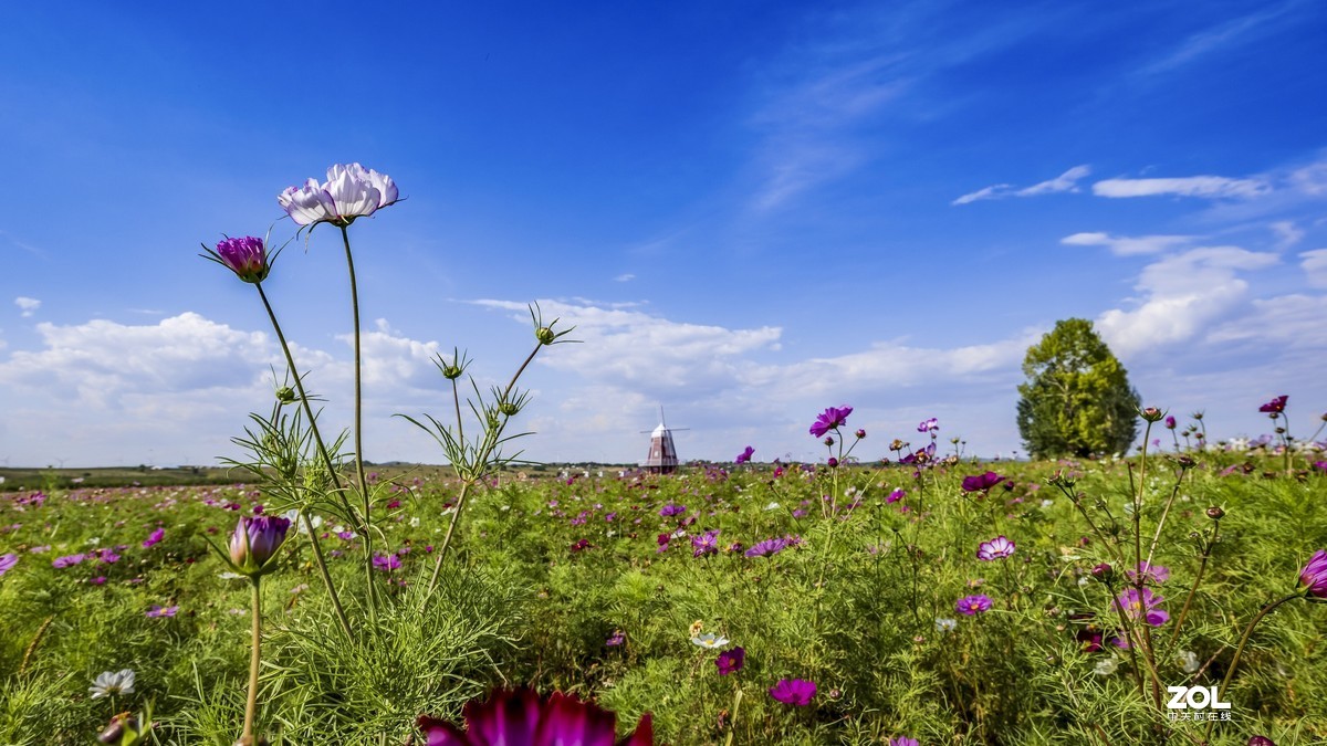佳能摄影团“大摄影佳，一路向北”之：小滦河国家湿地公园
