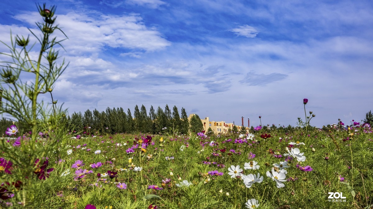 佳能摄影团“大摄影佳，一路向北”之：小滦河国家湿地公园