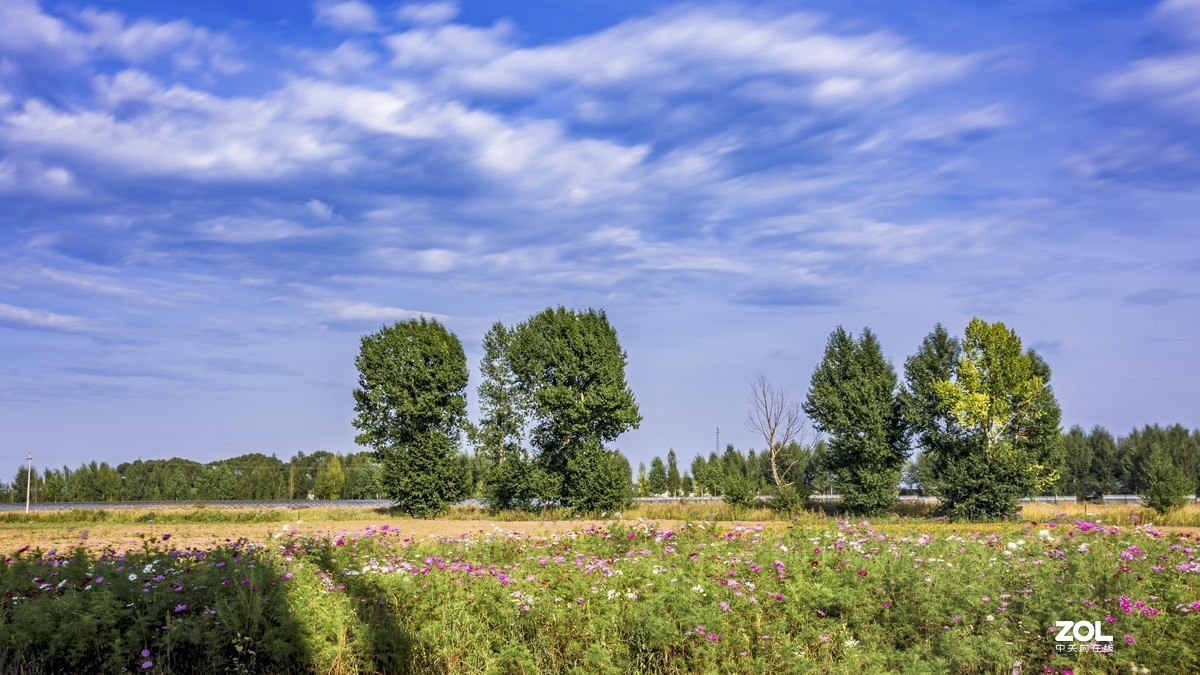 佳能摄影团“大摄影佳，一路向北”之：小滦河国家湿地公园