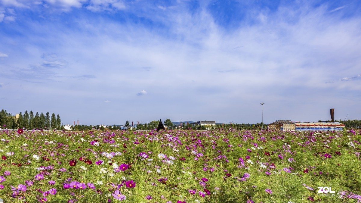 佳能摄影团“大摄影佳，一路向北”之：小滦河国家湿地公园