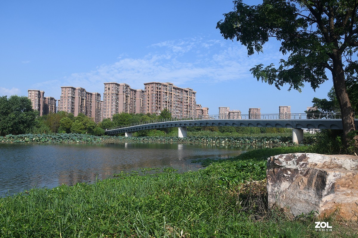 芜湖大阳垾湿地公园图片