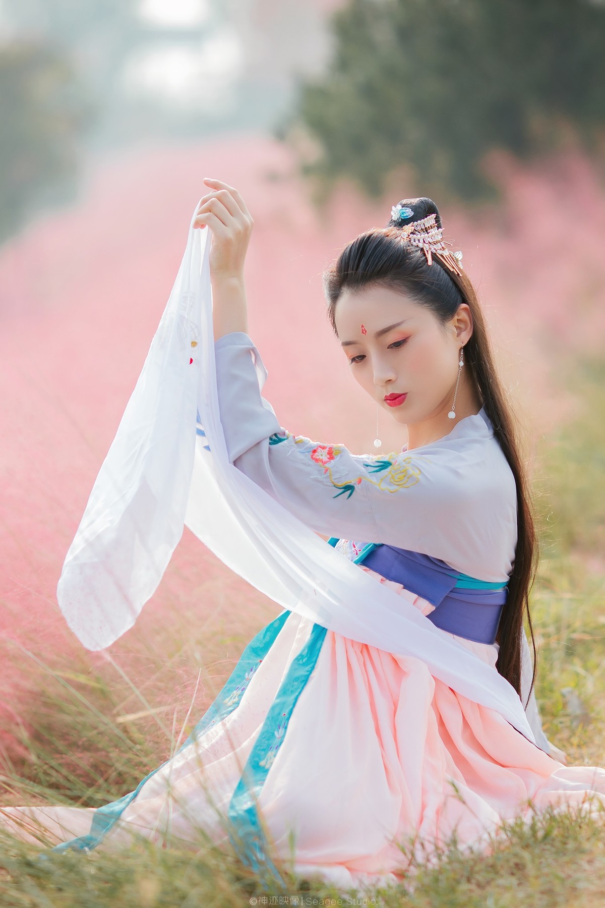 秋天里的一抹色·粉黛乱子草