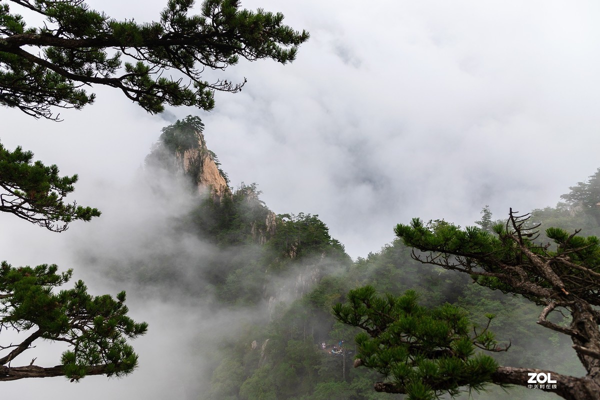 一组西峡老界岭的美拍图片