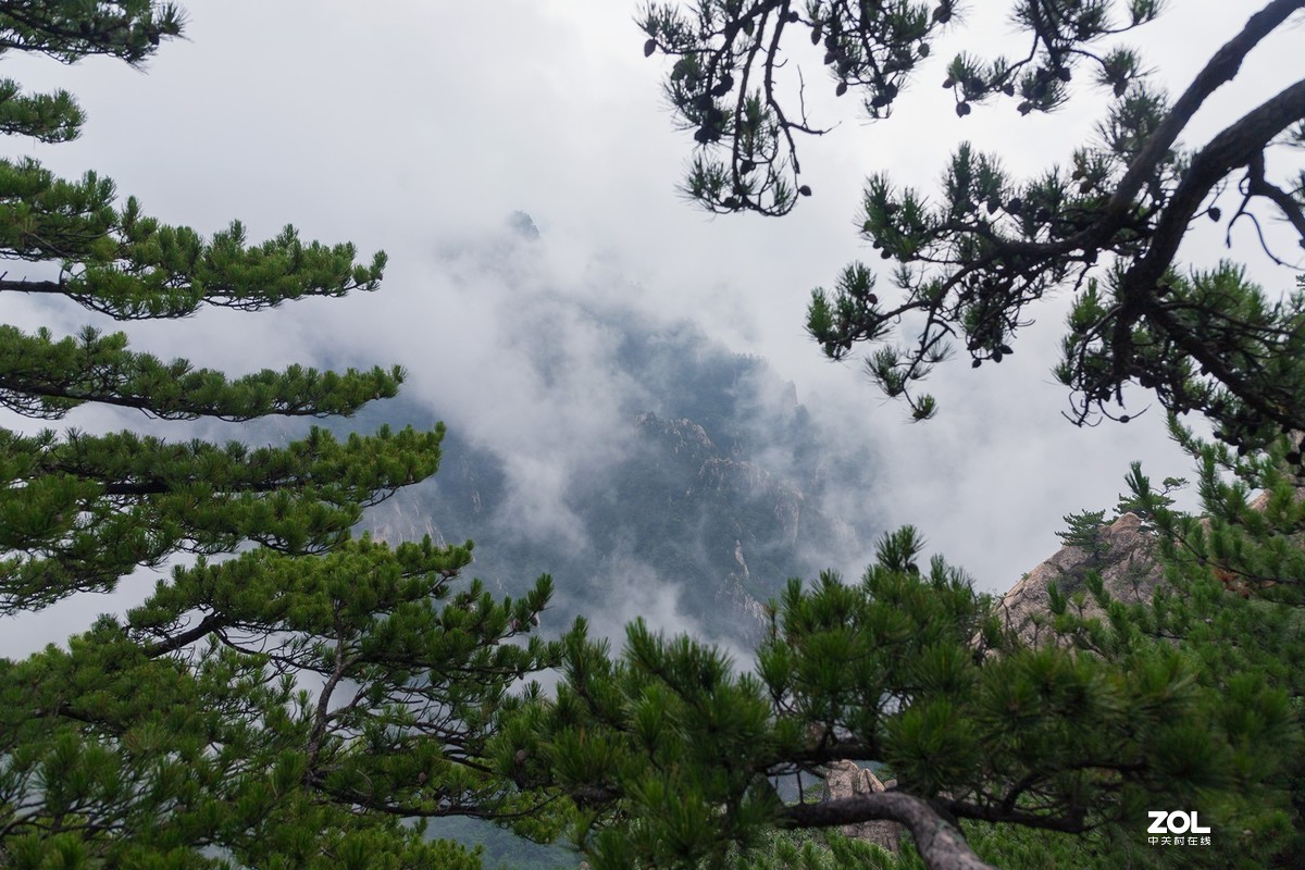 一组西峡老界岭的美拍图片