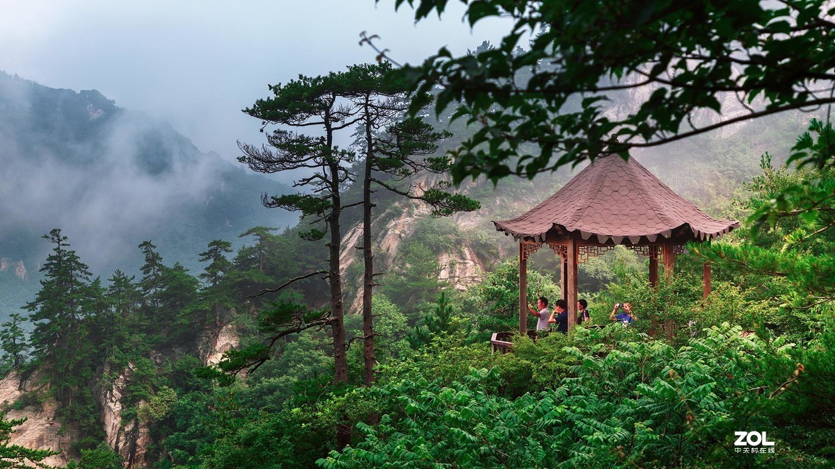 一组西峡老界岭的美拍图片