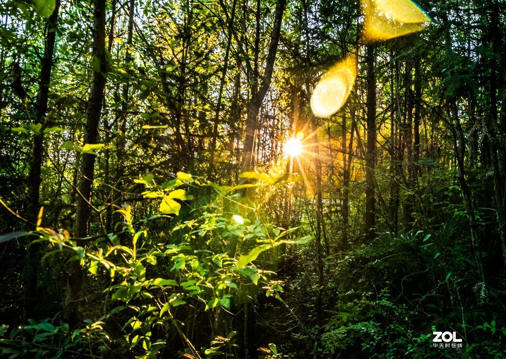 其实低端配置的效果也还不错