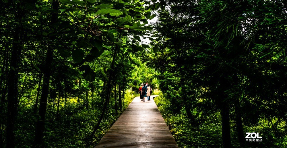 其实低端配置的效果也还不错