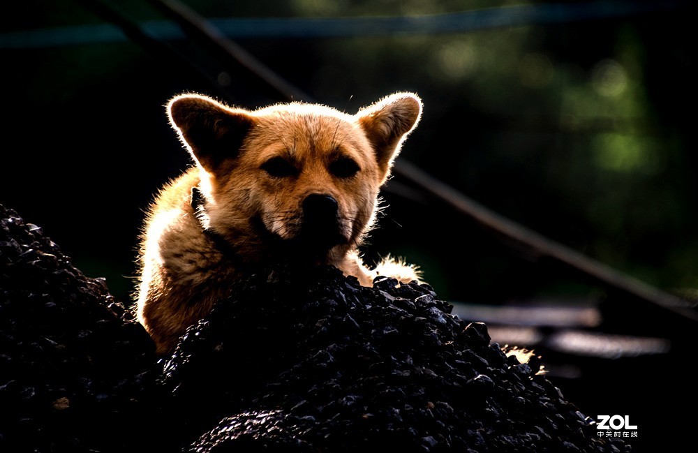 其实低端配置的效果也还不错