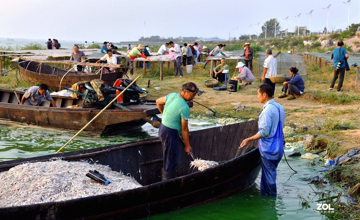 暑期 拍摄 选片