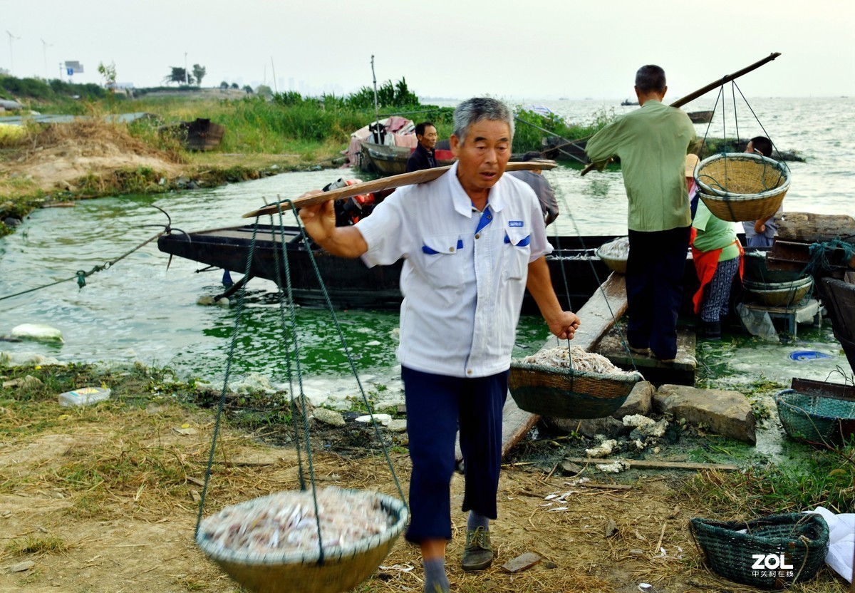 暑期 拍摄 选片