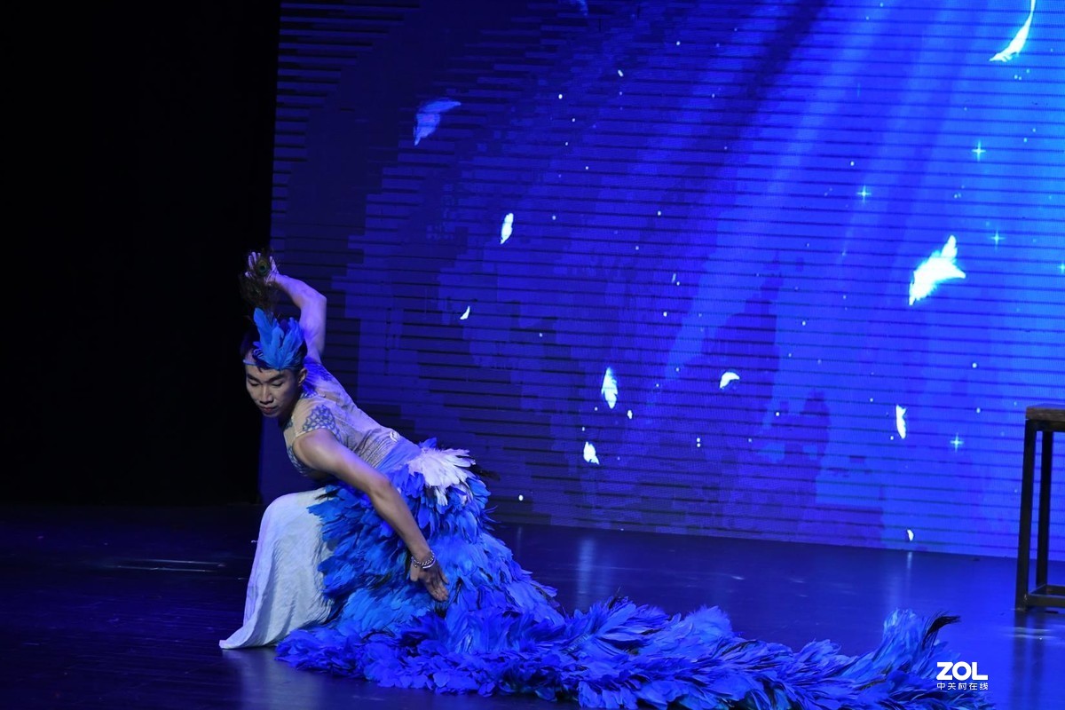 舞蹈（专业---舞者）