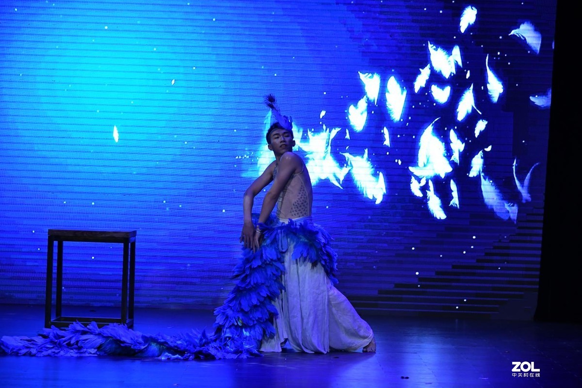 舞蹈（专业---舞者）