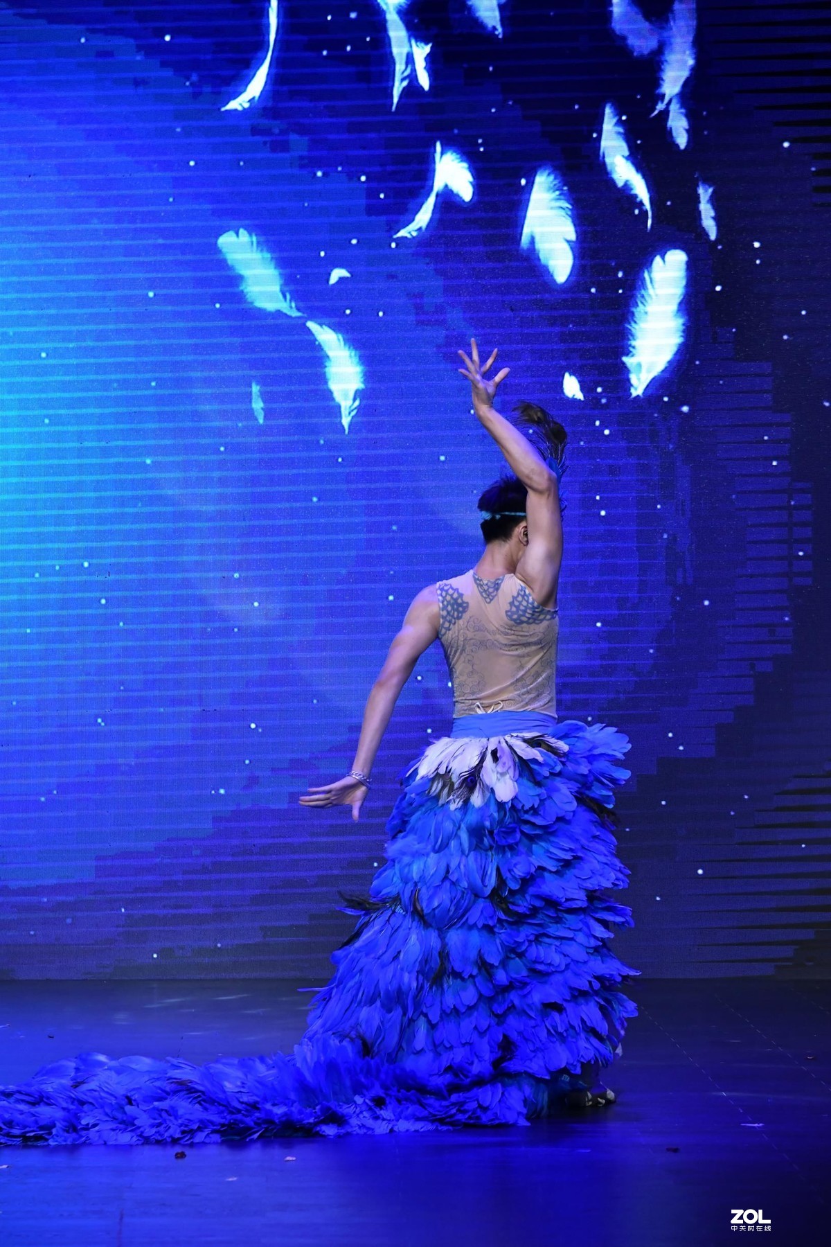 舞蹈（专业---舞者）