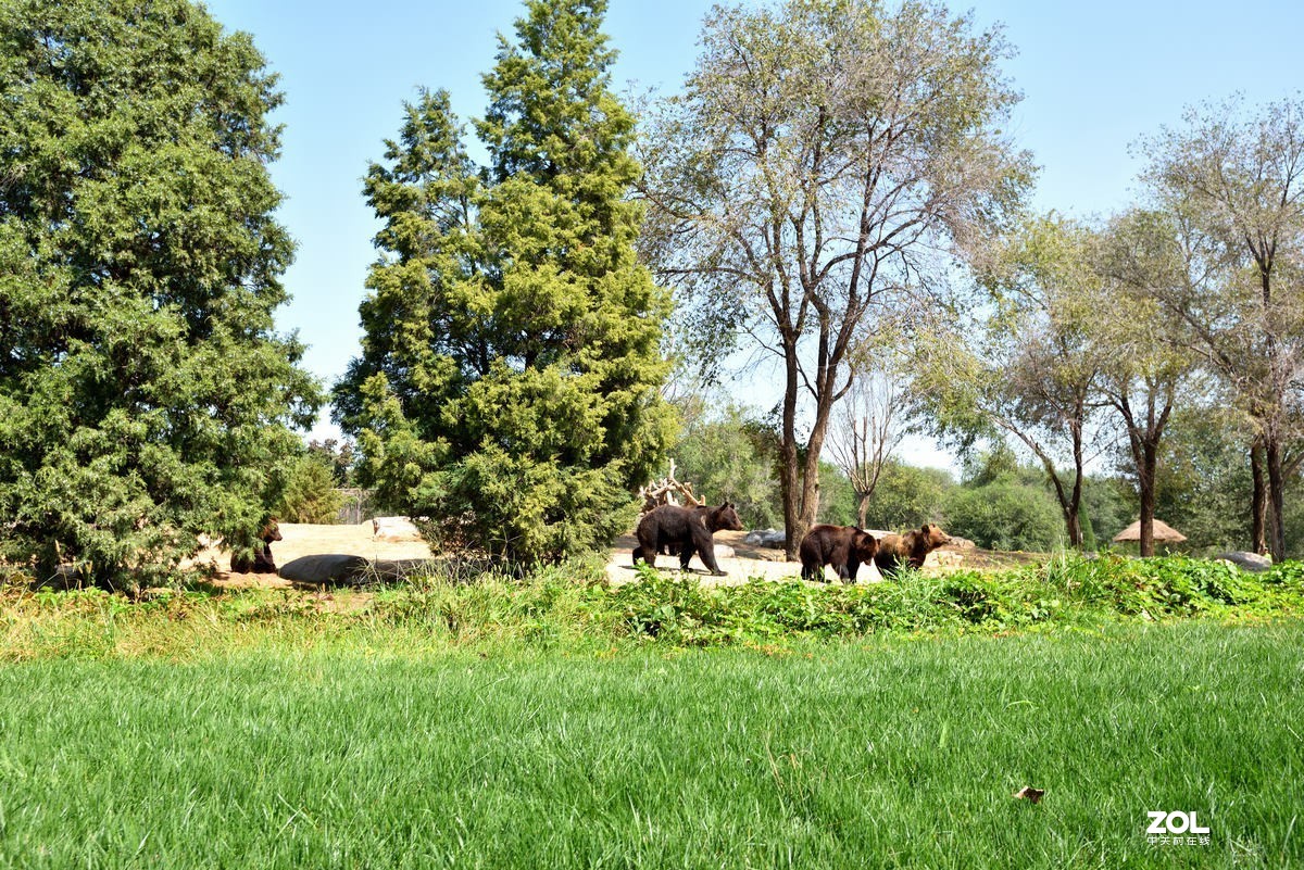 北京大兴野生动物园