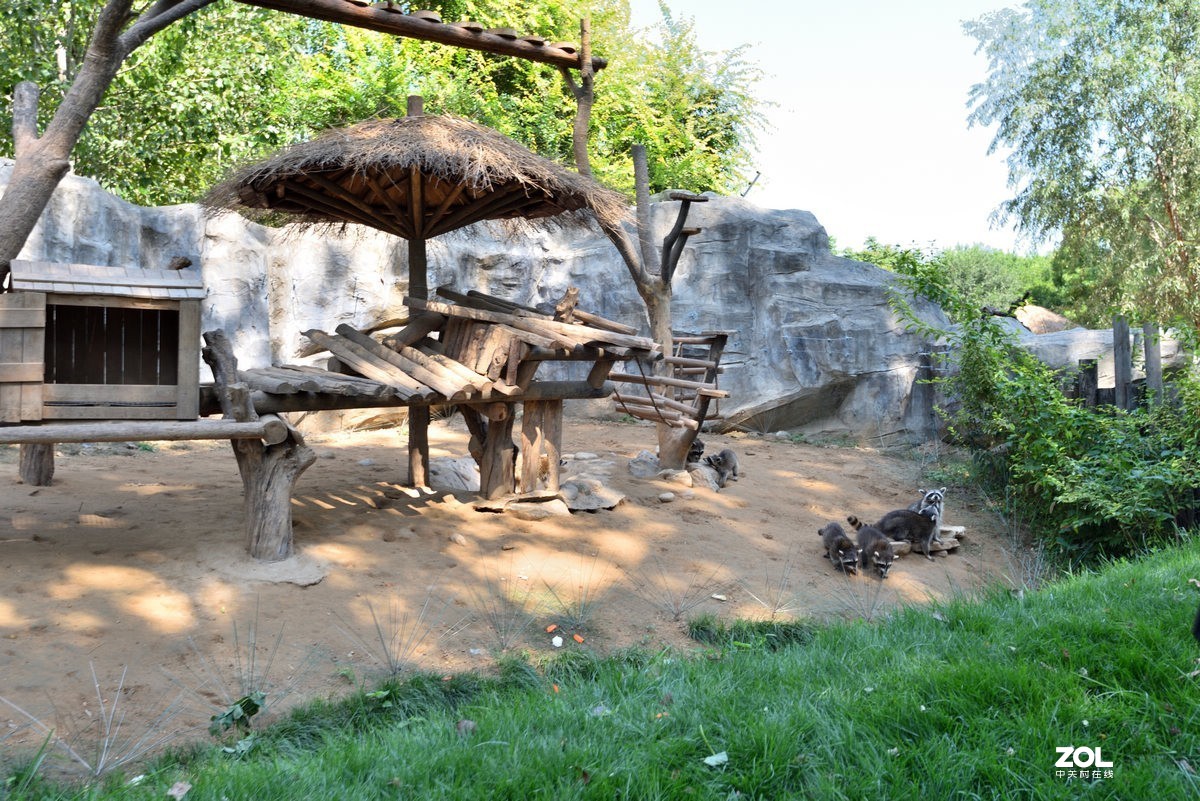 北京大兴野生动物园