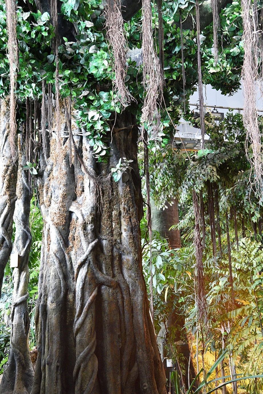 上海科技馆-4： 地球奥妙与生物万象