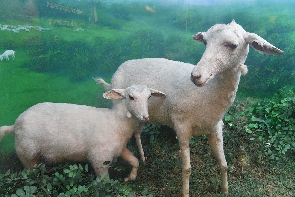 上海科技馆-4： 地球奥妙与生物万象