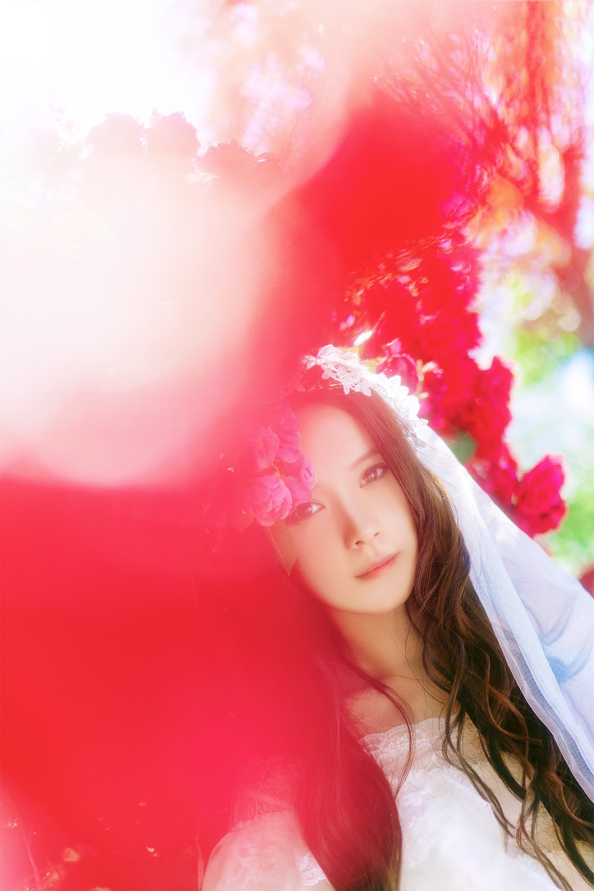[[[楚 狂]]] 花 非 花