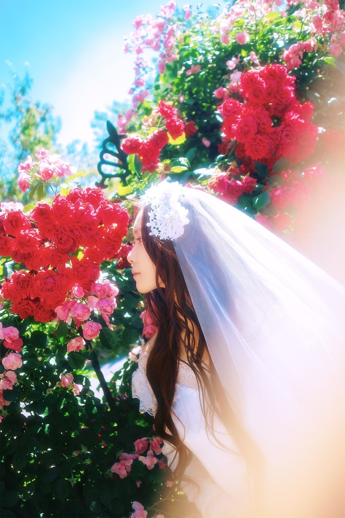 [[[楚 狂]]] 花 非 花