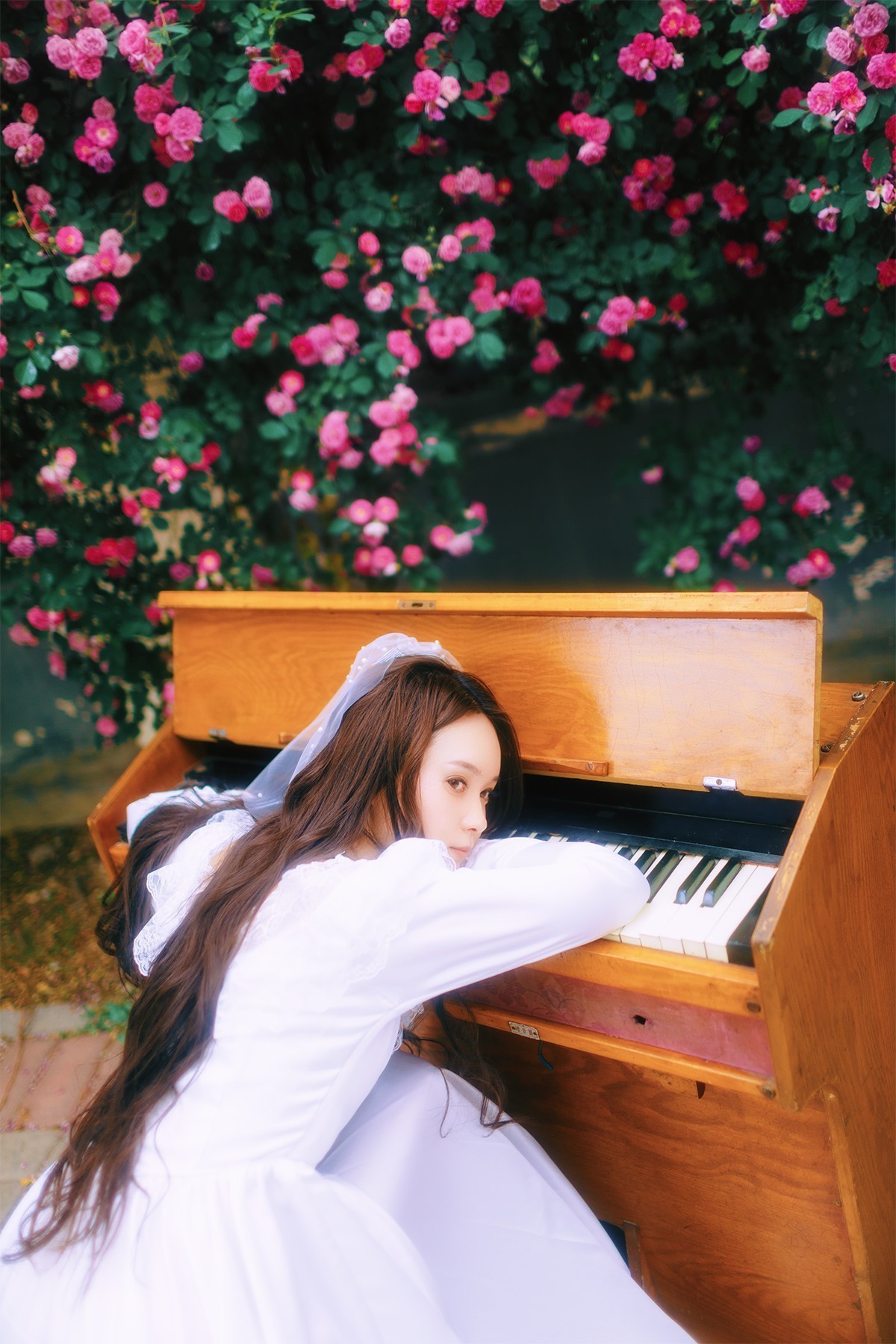 [[[楚 狂]]] 花 非 花