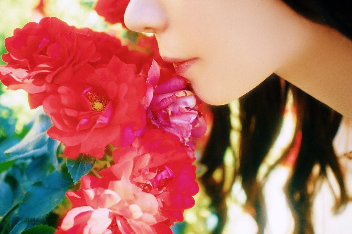 [[[楚 狂]]] 花 非 花