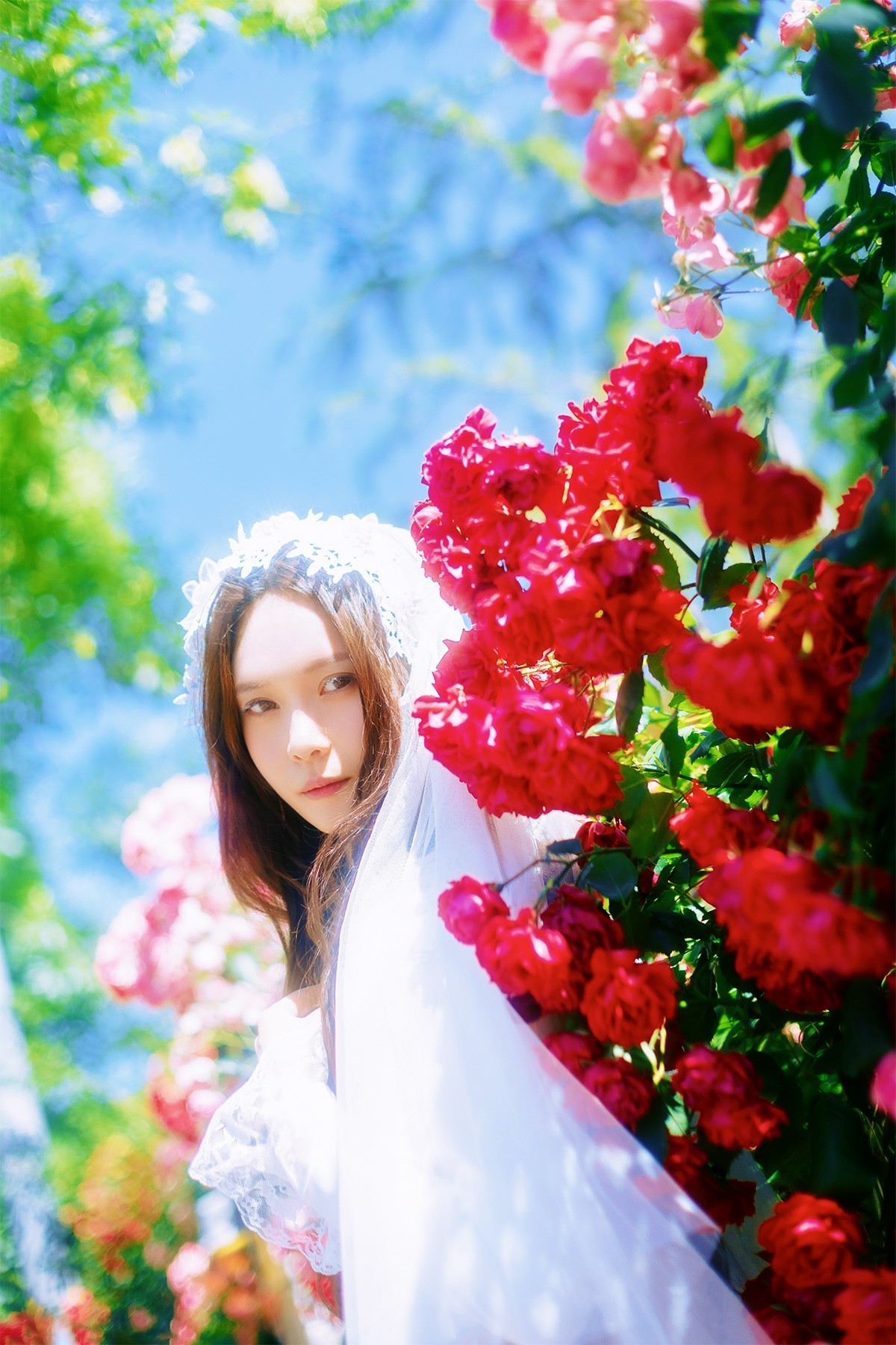 [[[楚 狂]]] 花 非 花