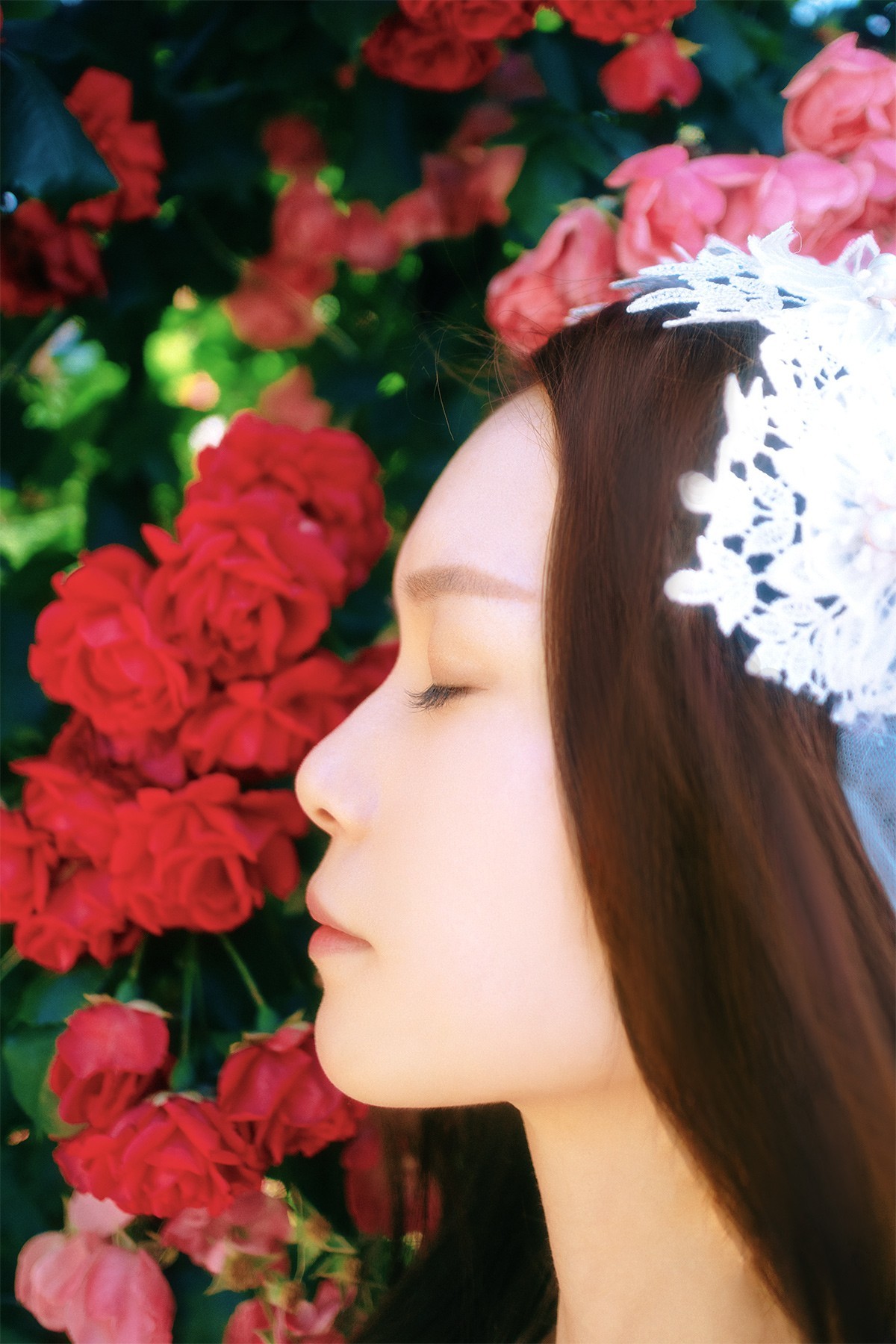 [[[楚 狂]]] 花 非 花