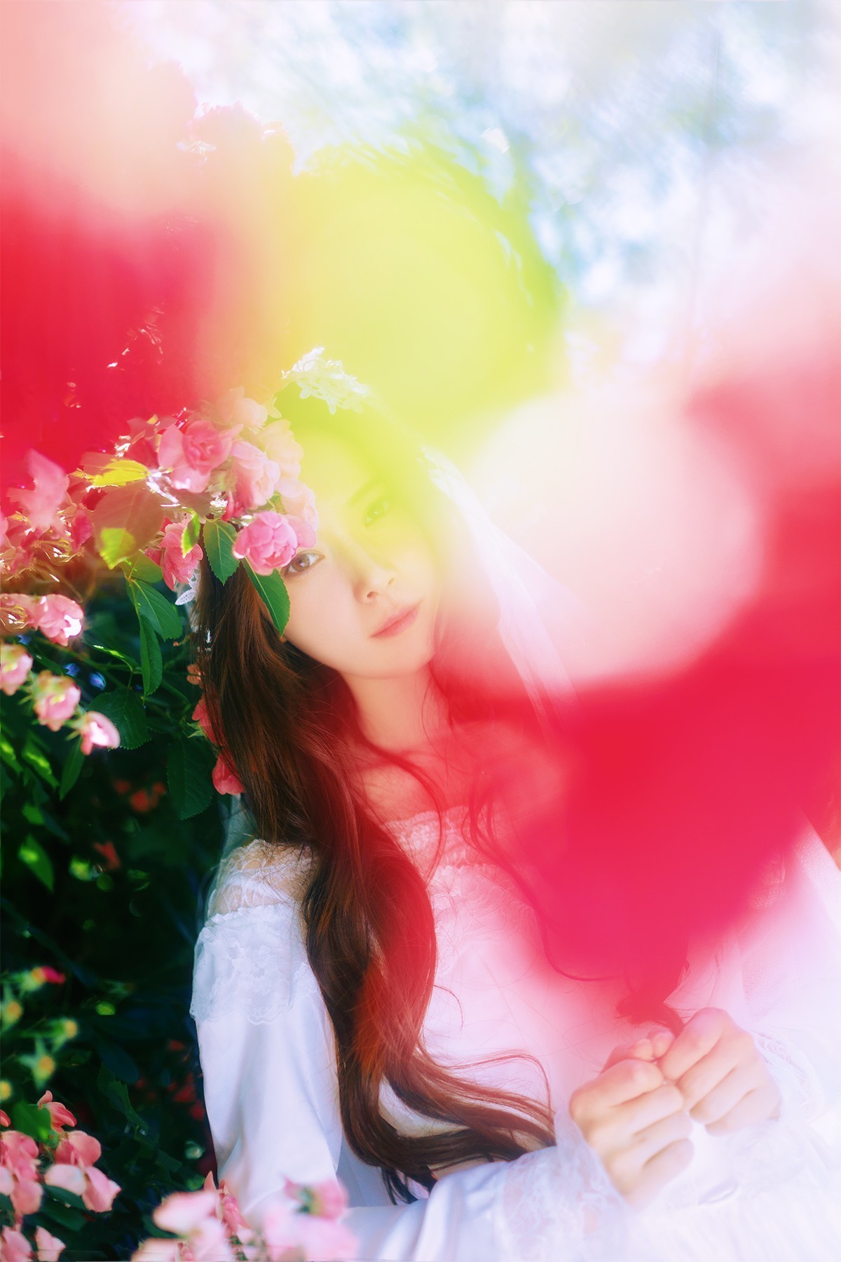 [[[楚 狂]]] 花 非 花