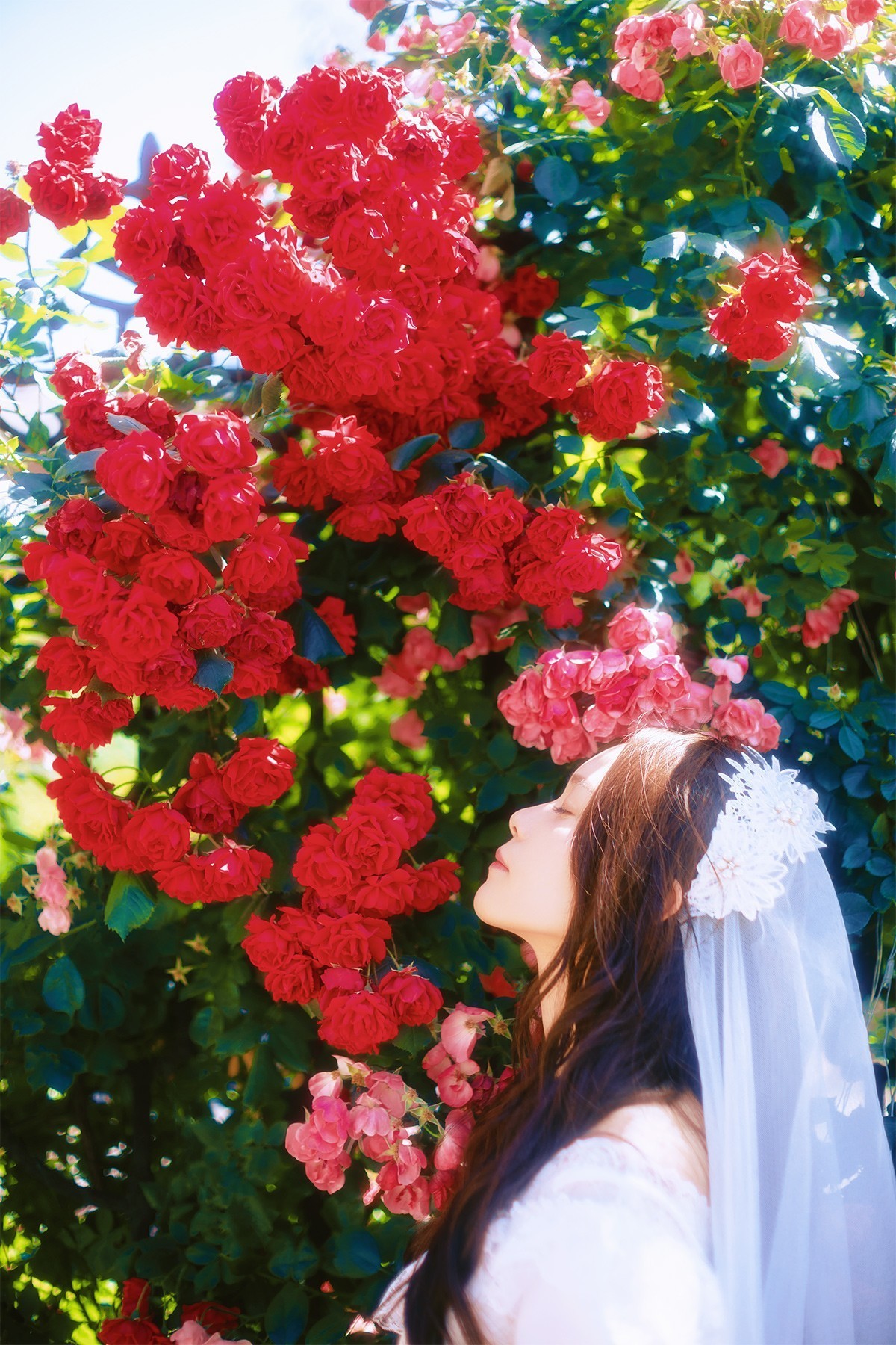 [[[楚 狂]]] 花 非 花