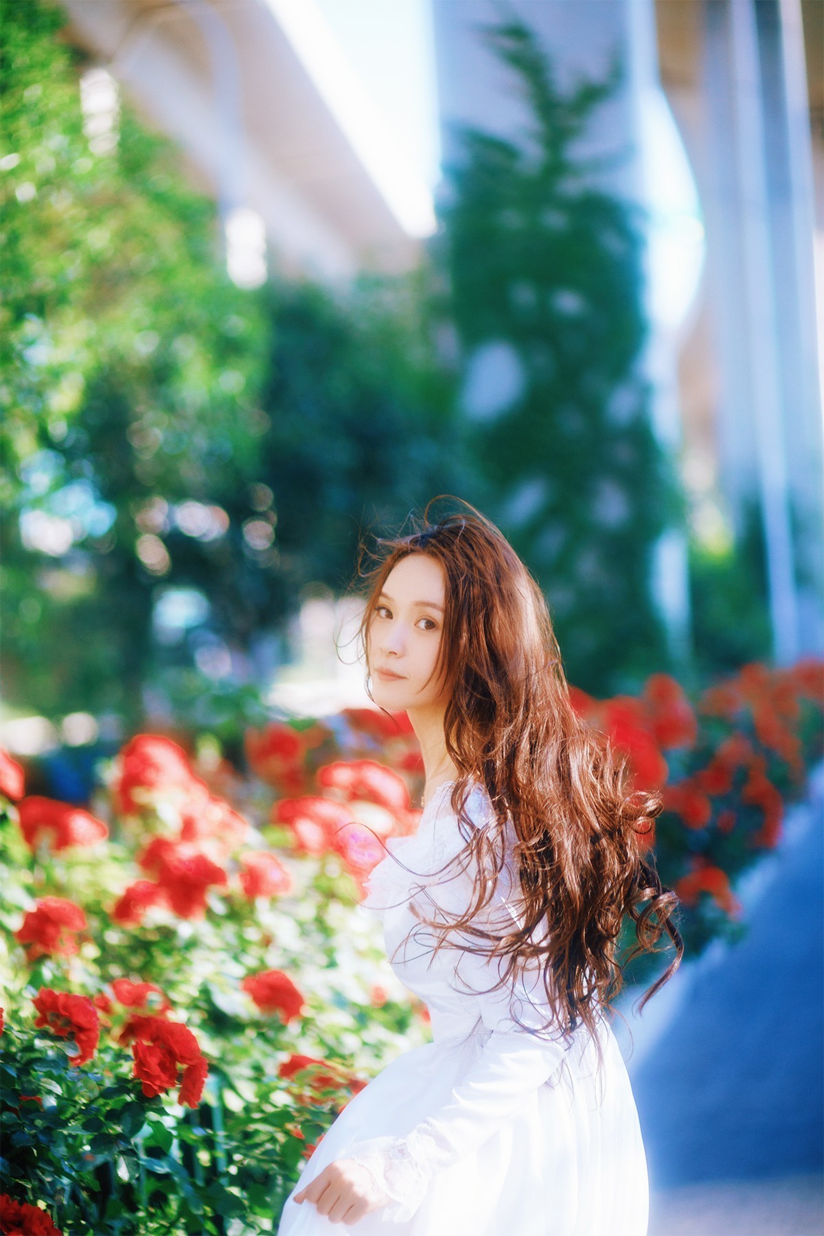 [[[楚 狂]]] 花 非 花