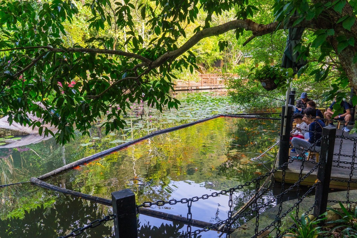 三亚------亚龙湾希尔顿、丽思卡尔顿、珀尔曼酒店和亚龙湾森林公园