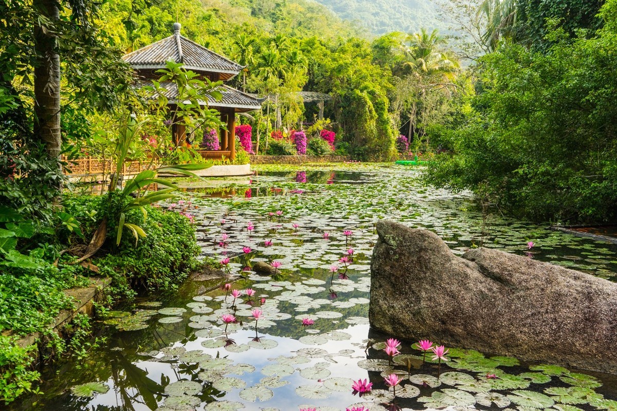 三亚------亚龙湾希尔顿、丽思卡尔顿、珀尔曼酒店和亚龙湾森林公园