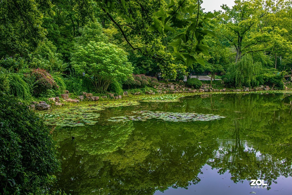 幽静的灵谷寺