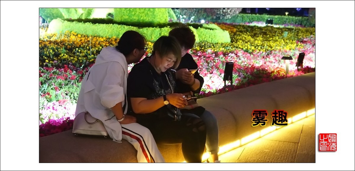 【我的视野】★ 雾 趣 ★