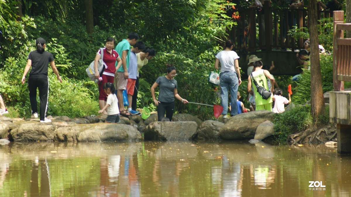 深圳羊台山公园之《嬉戏人生》