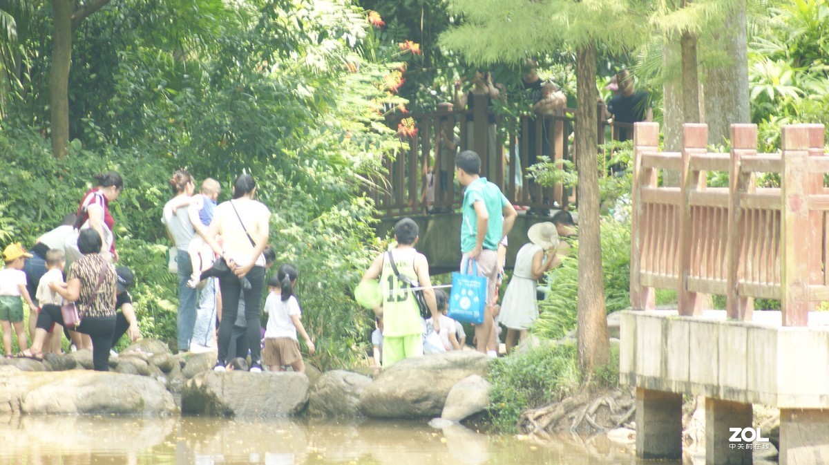 深圳羊台山公园之《嬉戏人生》