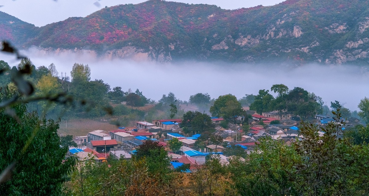红叶岭（红叶－云海美的让人窒息）