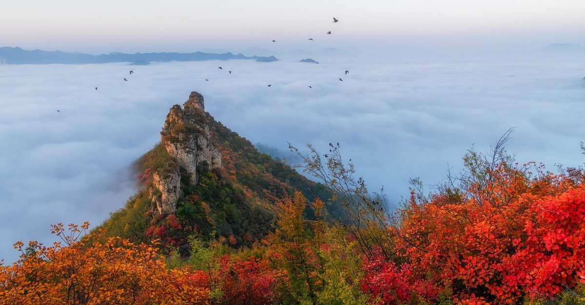 红叶岭（红叶－云海美的让人窒息）