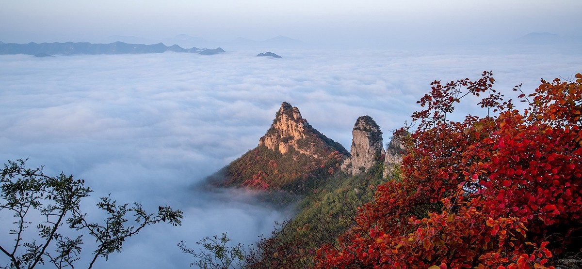 红叶岭（红叶－云海美的让人窒息）