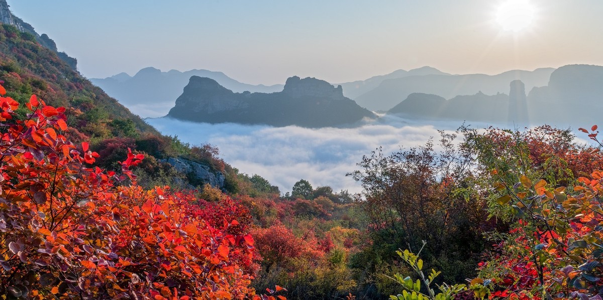 红叶岭（红叶－云海美的让人窒息）