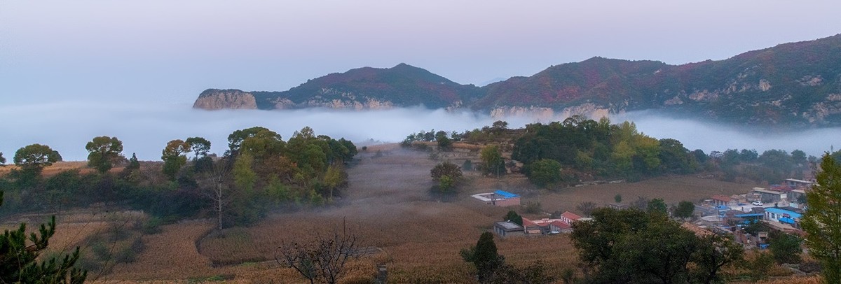 红叶岭（红叶－云海美的让人窒息）