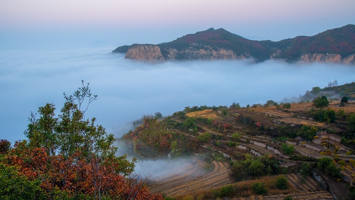 红叶岭（红叶－云海美的让人窒息）