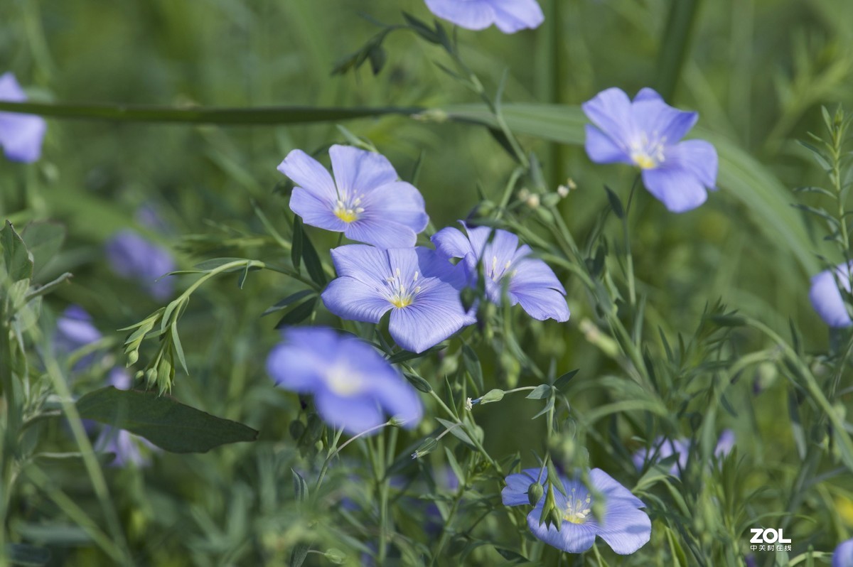 2019年艾依河之夏