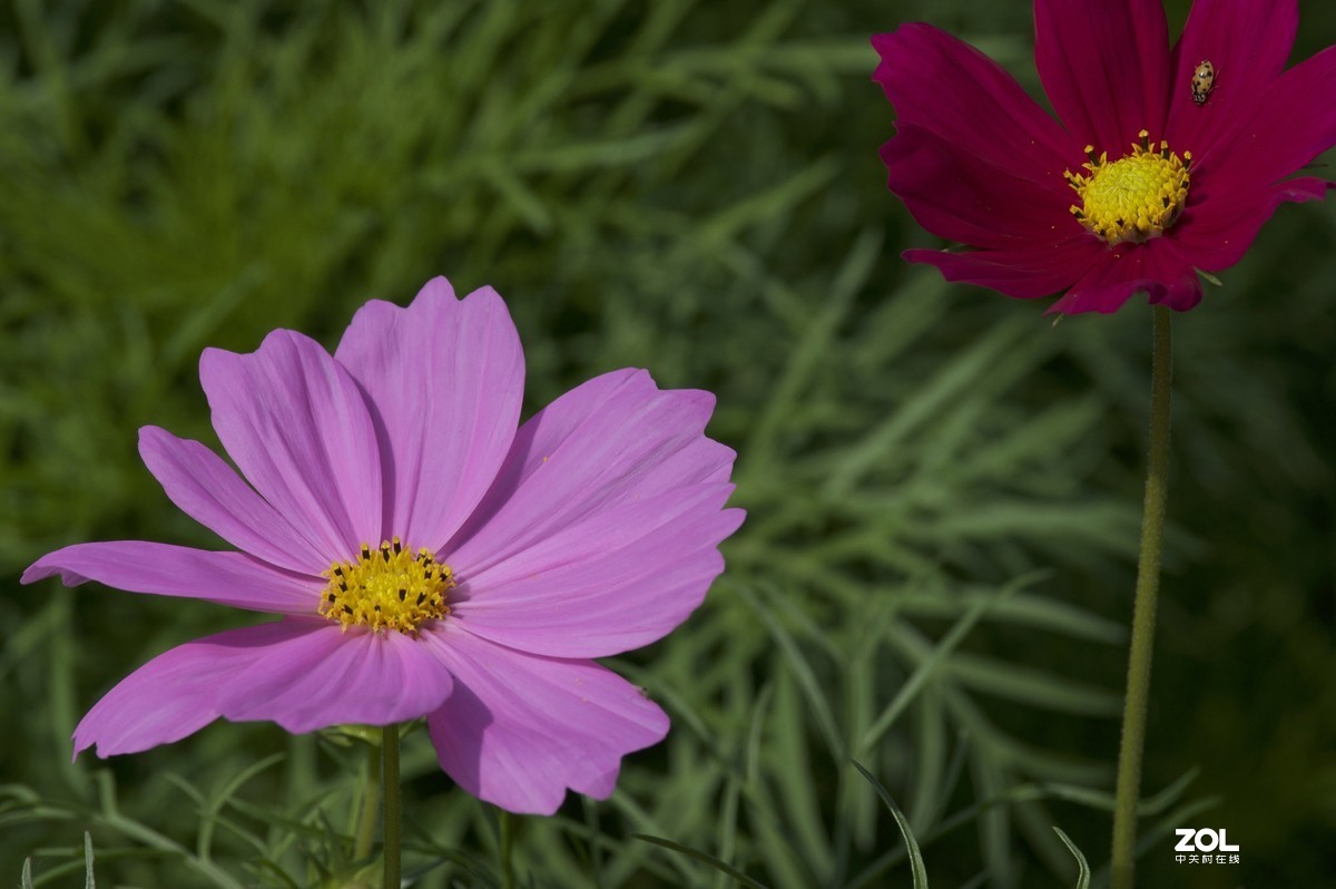 2019年艾依河之夏