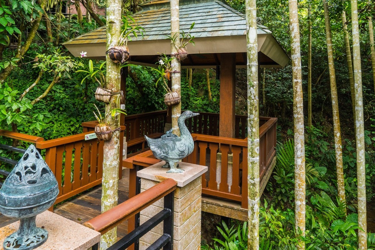 三亚------亚龙湾希尔顿、丽思卡尔顿、珀尔曼酒店和亚龙湾森林公园