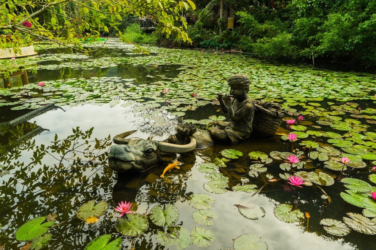 三亚------亚龙湾希尔顿、丽思卡尔顿、珀尔曼酒店和亚龙湾森林公园