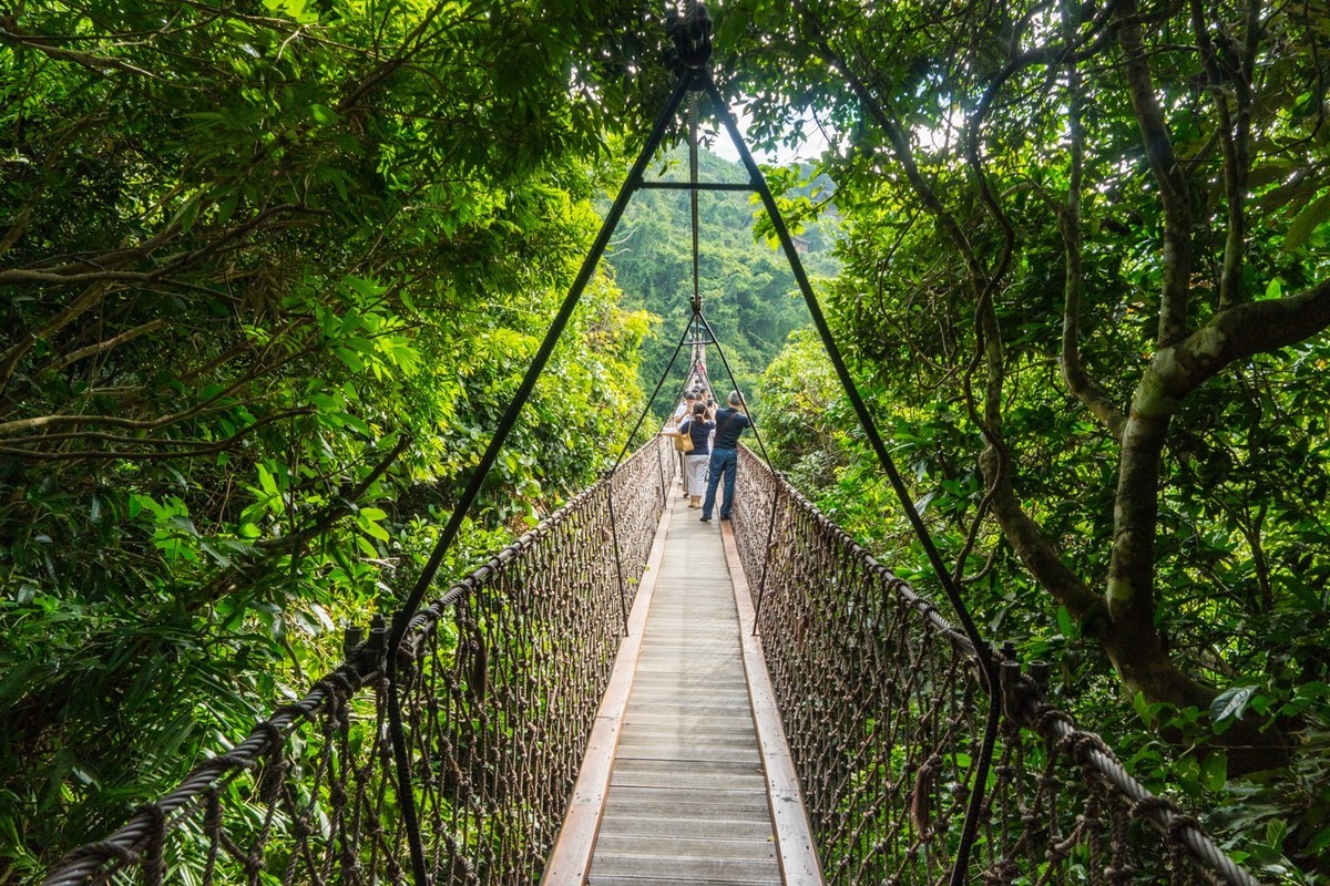 三亚------亚龙湾希尔顿、丽思卡尔顿、珀尔曼酒店和亚龙湾森林公园