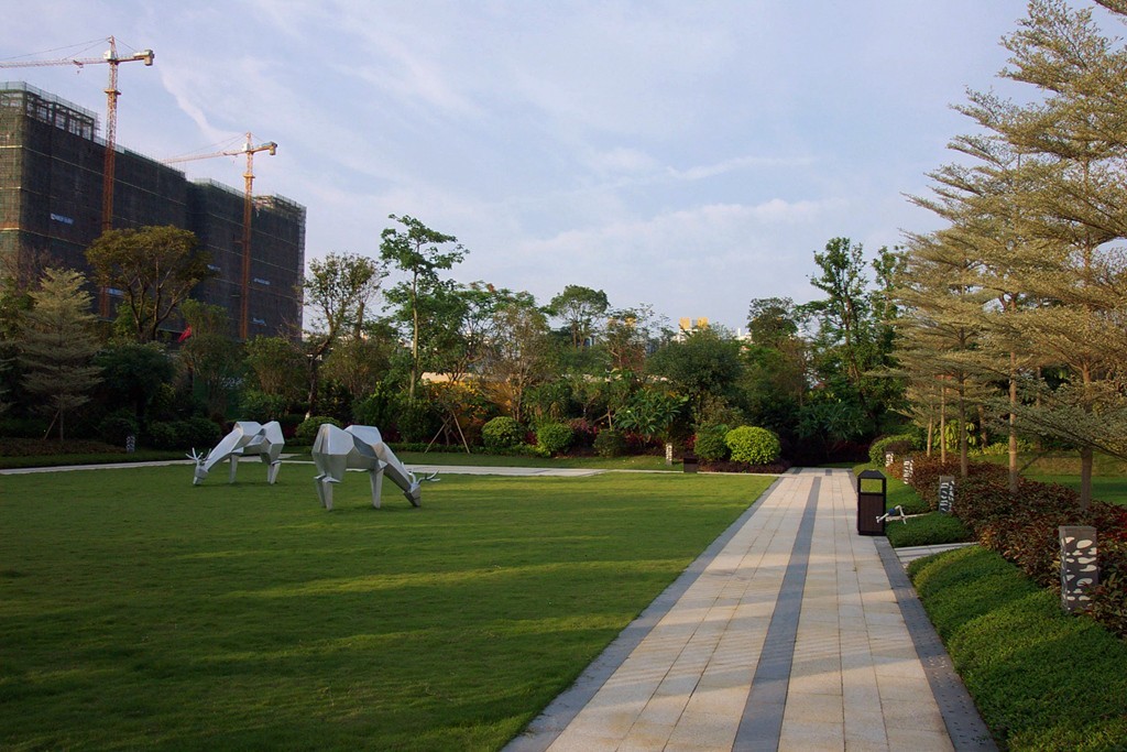 老柯之色 （17）