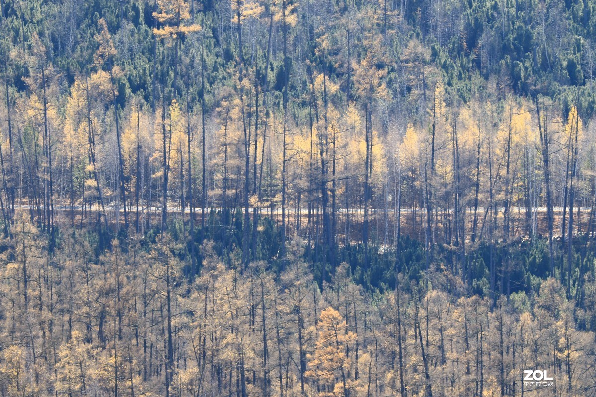 国庆长假七天游