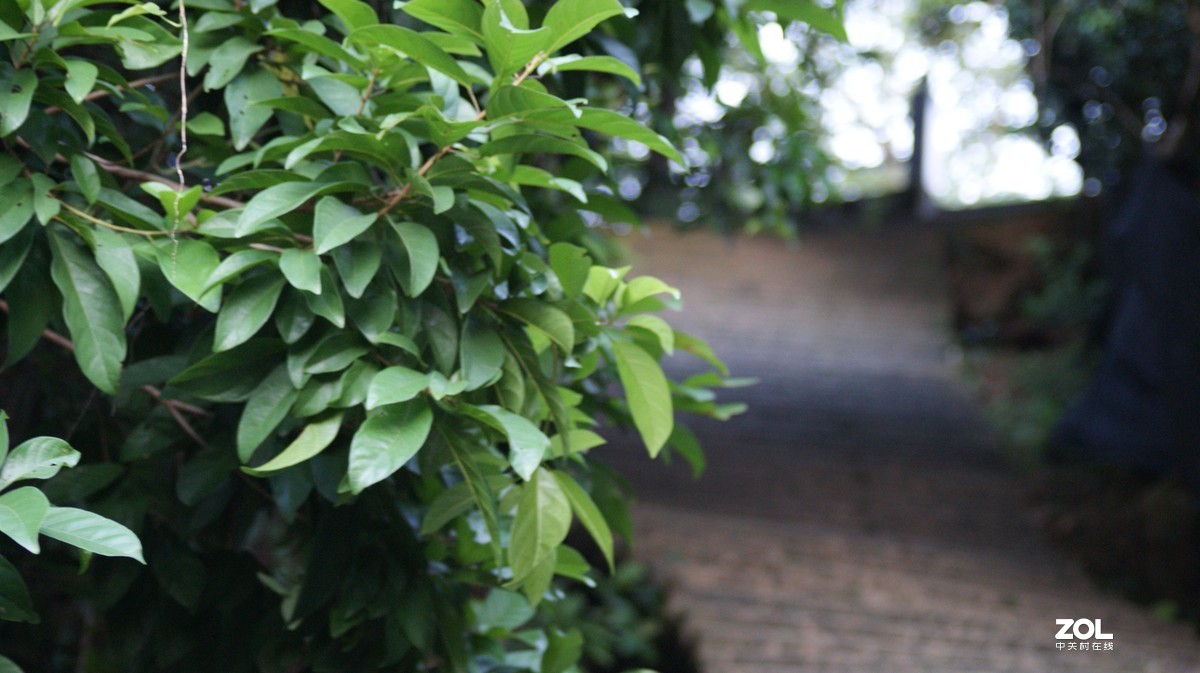 入手相机之《有请大师》